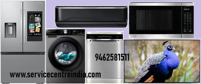 Service Centre India Logo